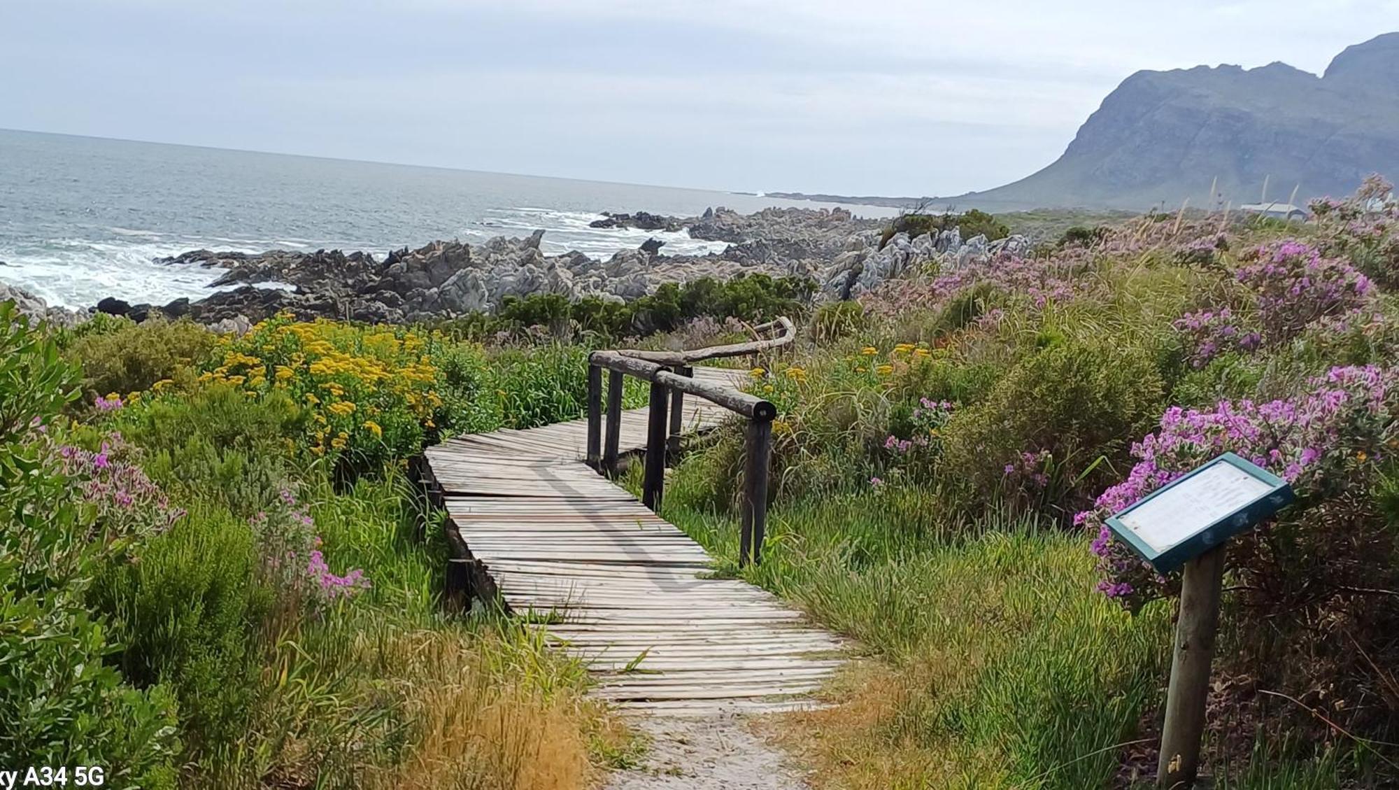 Kleinmond Panorama Holidays 외부 사진